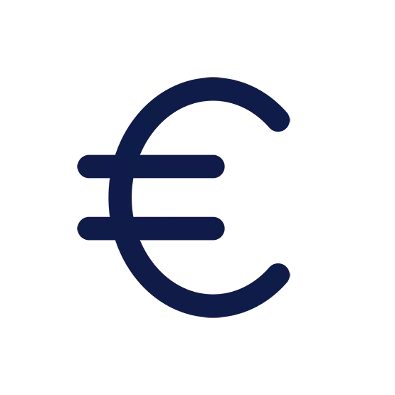 Euro Icon